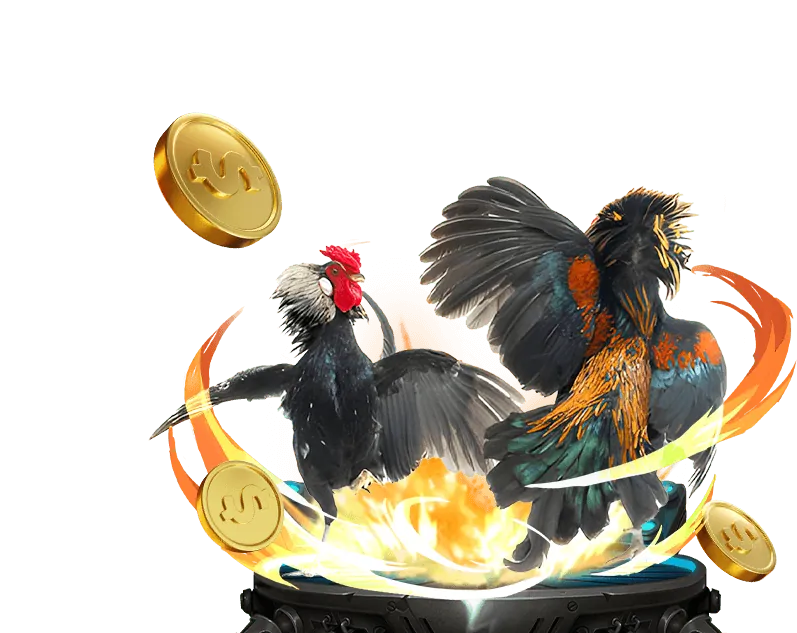Hình ảnh đá gà